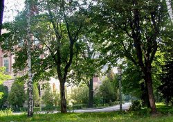 Politechnika Lwowska