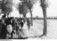 Wysiedlenia Polaków