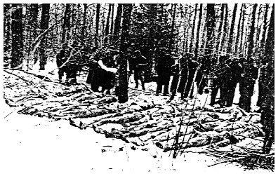 Jagielnica, pow. Czortków. Identyfikacja zwłok mieszkańców wsi Połowce, zamęczonych przez terrorystów OUN-UPA.