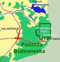 Puszcza Białowieska